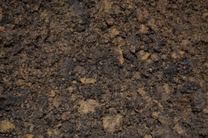 Soil Testing